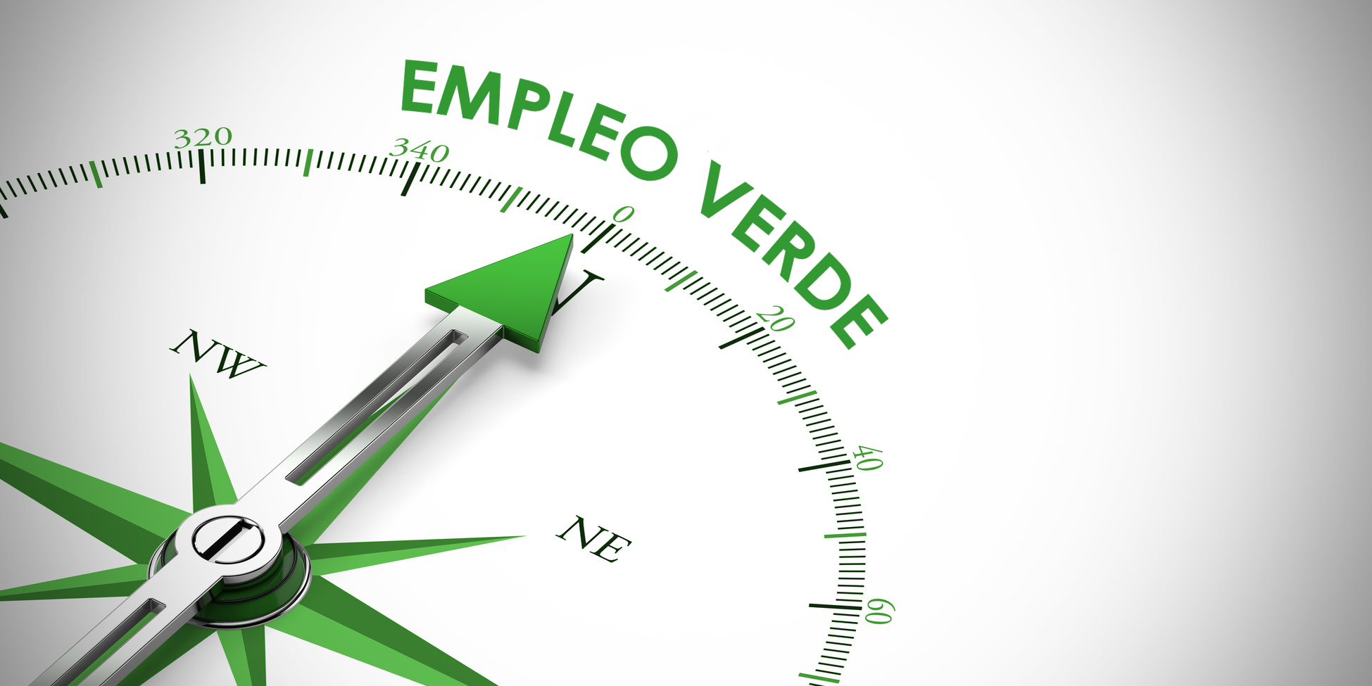 imagen de la actividad